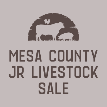 Mesa County Junior Livestock Sale supported by grand junction accounting firm